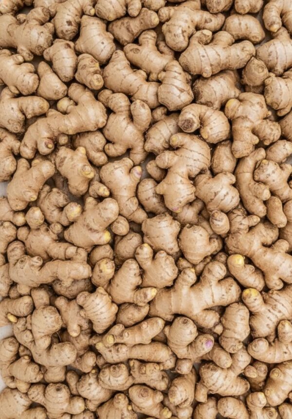 Imagen de WhatsApp 2025-10-27 a las 16.45.08_66badb32 KILO DE JENGIBRE ENTERO