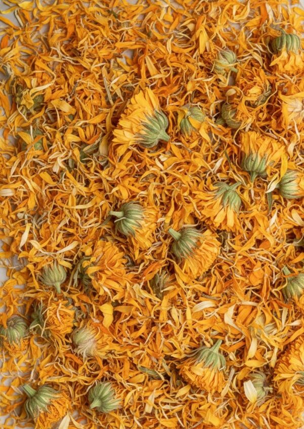 Imagen de WhatsApp 2025-10-27 a las 18.15.31_ae4f8239 KILO DE CALENDULA