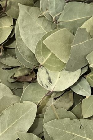 Imagen de WhatsApp 2025-10-27 a las 20.43.13_ceb7f6ac KILO DE LAUREL