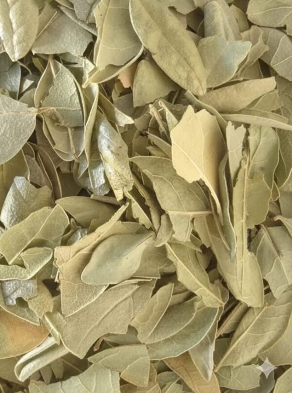 Imagen de WhatsApp 2025-10-27 a las 21.31.41_5b23095c KILO DE BOLDO