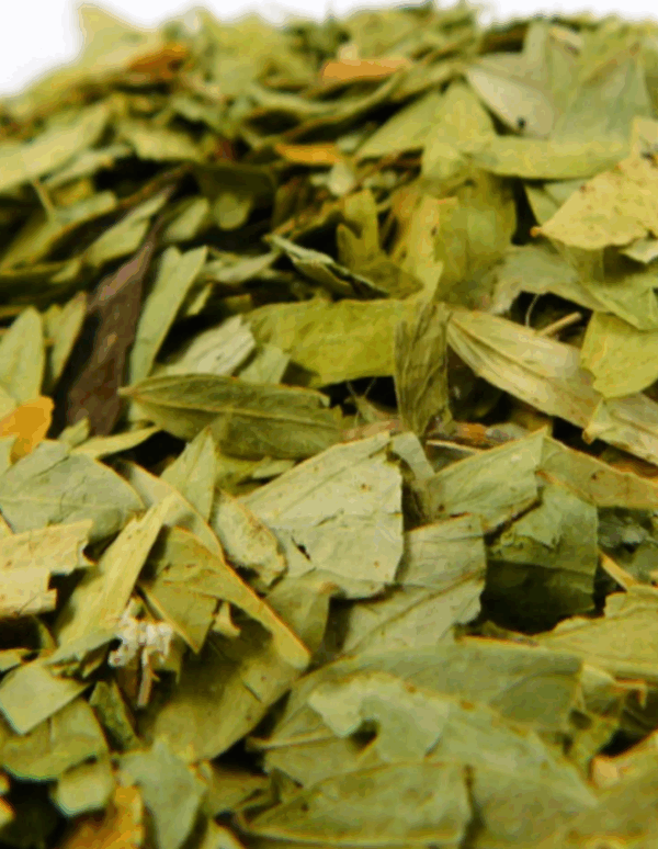KILO DE HOJA DE SEN